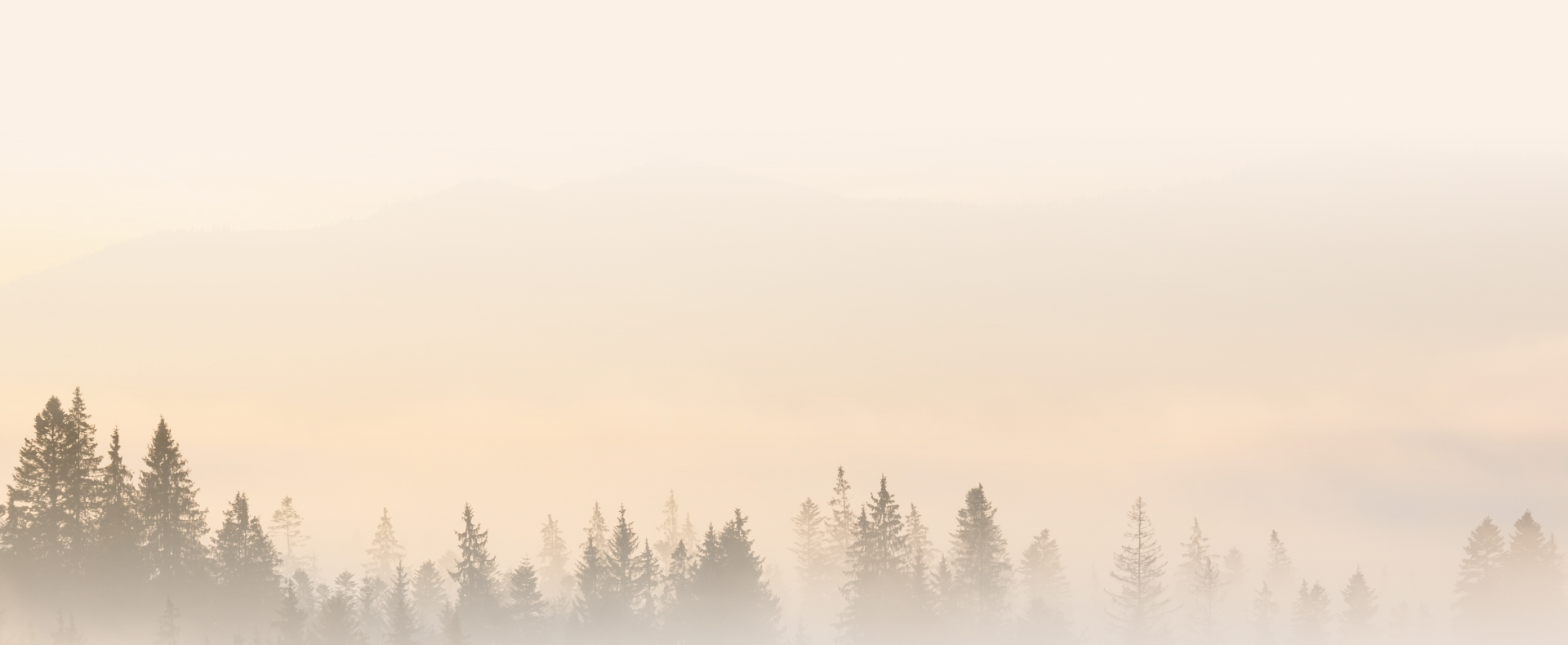 Про нас – Зображення 32