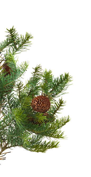 Головна – Зображення 11