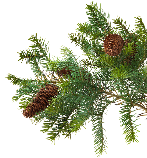 Головна – Зображення 21