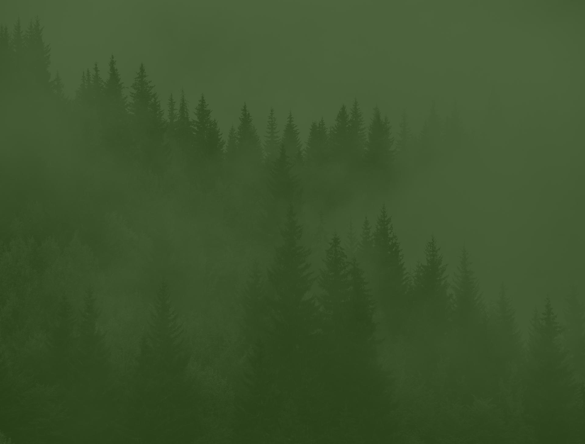 Бар – Ресторан – Зображення 13