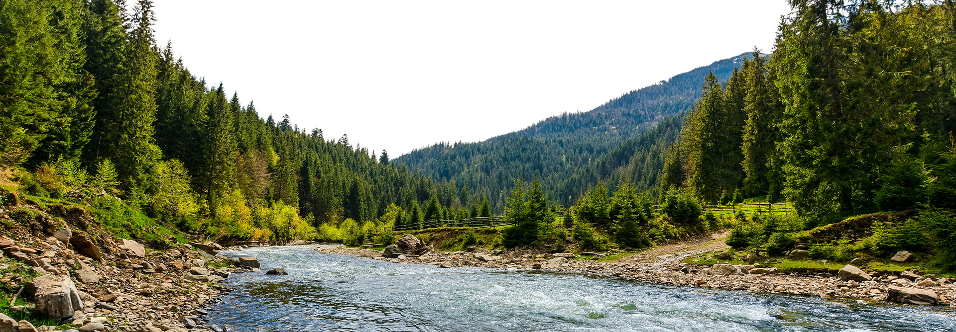 Тепло Різдва у кожній миті відпочинку